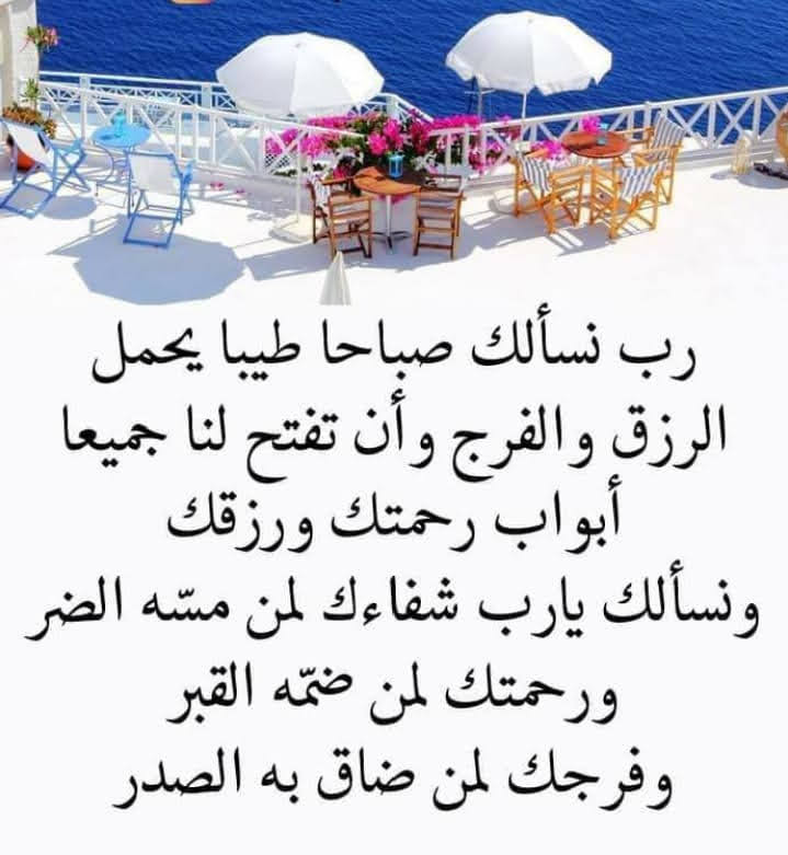 Jinan Majeed (@jinan_majeed) on Twitter photo 