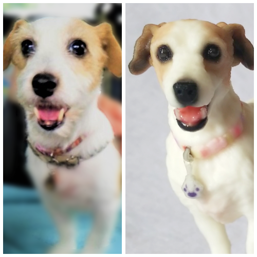 3dpetshop's tweet photo. #ジャックラッセルテリア のきららちゃん
キラキラとはじける笑顔がとってもかわいいです！
#JackRussellTerrier
#ジャッキー
#愛犬 #犬 #dog
#フィギュア #3dfigure #figure
#3dプリンター #3dprinter
#3dcg #design
#pet #ペット
#犬好き
#ilovedog
#犬好きさんと繋がりたい 
#3DPETSHOP https://t.co/ahajPclxbQ