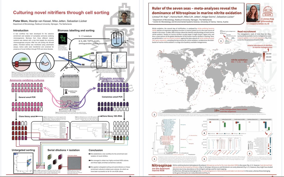 Mike Jetten🟥 (@msmjetten) on Twitter photo poster session at #SSM2021 <a href="/KNVM_online/">KNVM</a> with #nitrogen cycle #microbiology of <a href="/Radboud_Uni/">Radboud University</a> <a href="/pietereblom/">Pieter Blom</a> on cultivation of new #comammox and <a href="/linneakop/">Linnea Kop</a> on #Nitrospina in OMZ poster session at #SSM2021 <a href="/KNVM_online/">KNVM</a> with #nitrogen cycle #microbiology of <a href="/Radboud_Uni/">Radboud University</a> <a href="/pietereblom/">Pieter Blom</a> on cultivation of new #comammox and <a href="/linneakop/">Linnea Kop</a> on #Nitrospina in OMZ