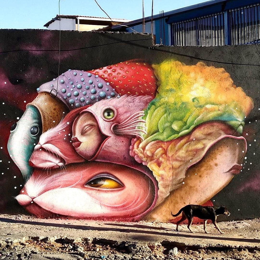 brababella's tweet photo. #Streetart by #AndreGonzagaDalata @ #BeloHorizonte, Brazil, for #LáDaFavelinha
https://t.co/2QczFOLqox #arteurbana #urbanart #murals #muralism https://t.co/BKloBTfRFQ