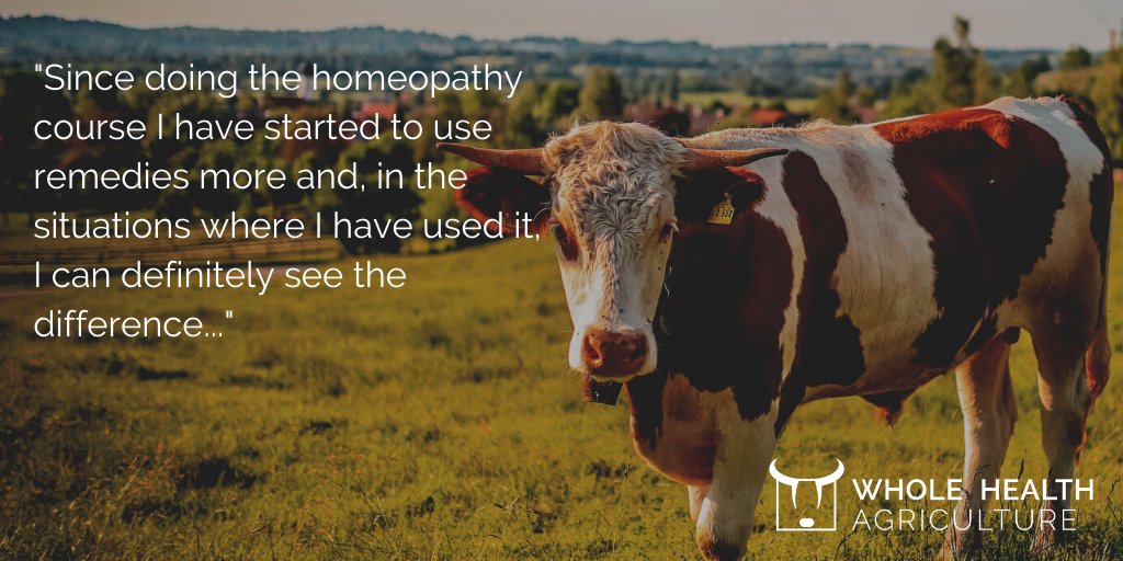 WholeHealth_Ag's tweet photo. A quote from an organic farm stockman. If you'd like to learn these skills, sign up for our newsletter to await news on our courses and training webinars. 
https://t.co/Pvci6rbXnQ
#WHAgMag #WHAgCourses #Farmeopathy #FarmingForHealth https://t.co/TQvY2zcRxF
