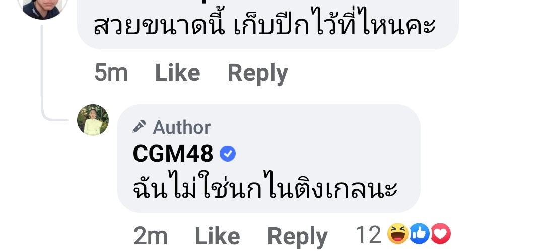 🦁 เจ้าสิงโตหัวฟู๊ฟู | RionLH tweet media