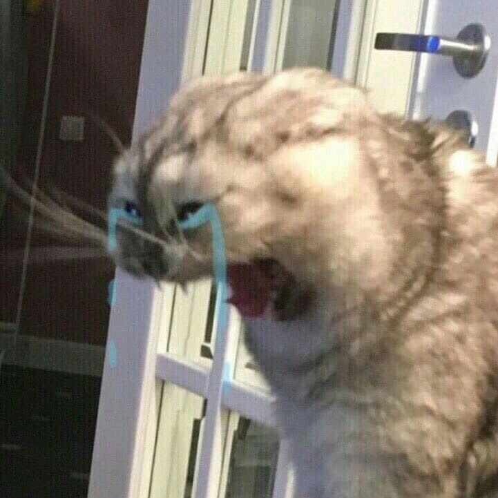 LPopover's tweet photo. Cry* https://t.co/ZSs4DDsRmW