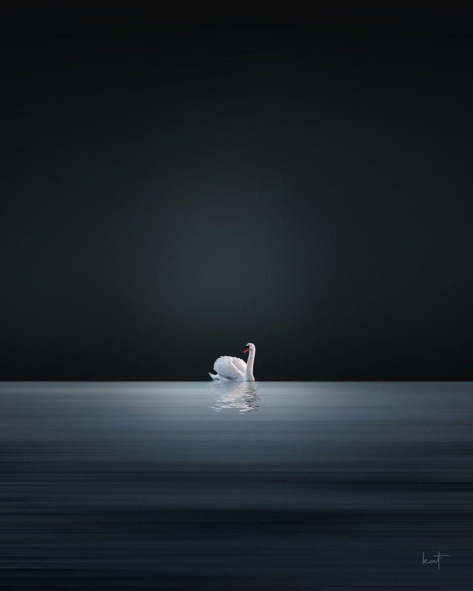 Simplicity

#minimalism #minimal_perfection #minimablu #minimalmood #blue #sealovers #swan #serenity #moody #haze #simplicity #nightphotography #blackandwhitephotography #lessismore #fineart #fineartphotography #oceanblue