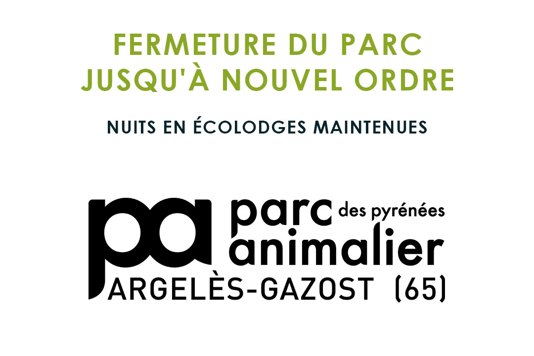 Parc Animalier des Pyrénées tweet media