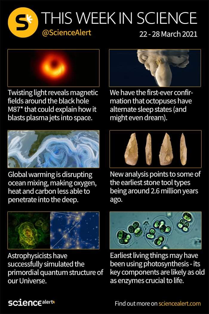 Hodgson Science Dept (@hodgsonsci) on Twitter photo 