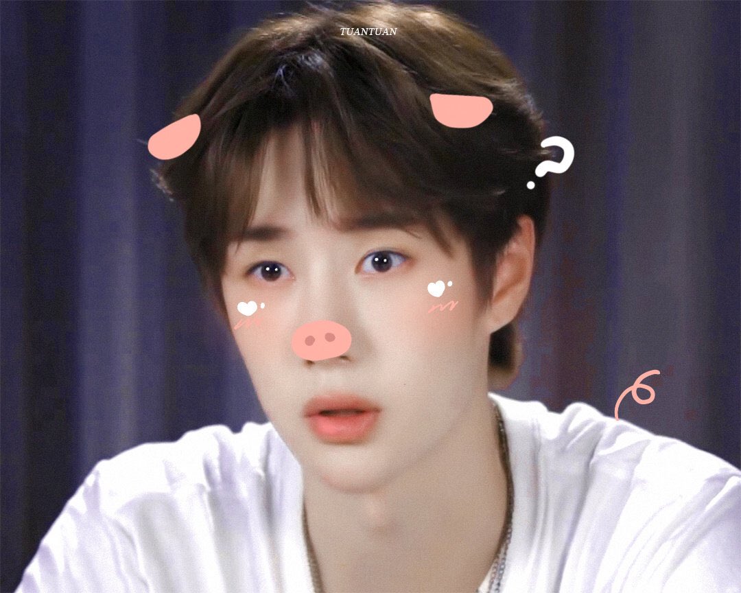 Christina 穿旗袍给叶先生 tweet media