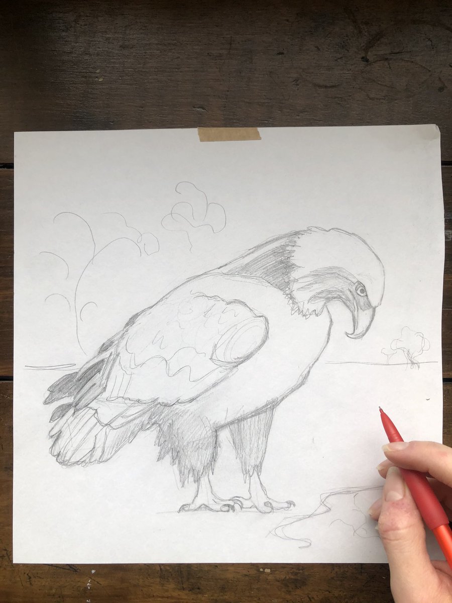 greenfoxillo's tweet image. #eagle #sketchbook #sketchbookwork #insidemysketchbook #inherstudio #eagleart #claws