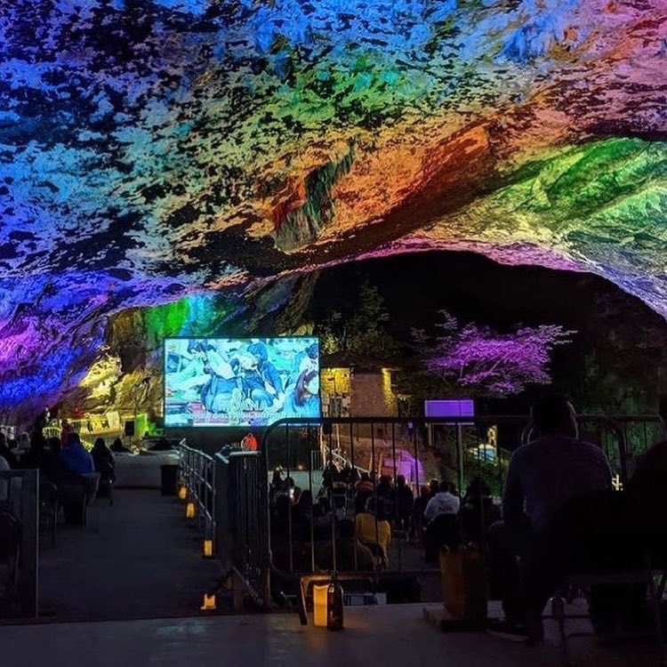 The Village Screen tweet media