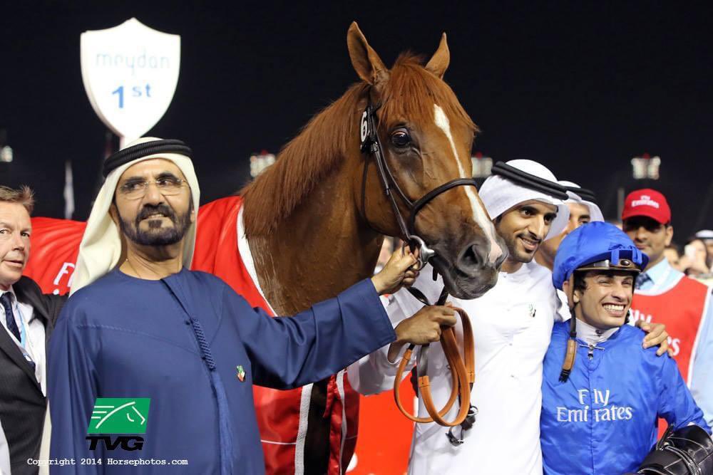 SilvDSousa's tweet photo. On this day in 2014, I rode the winner of the Dubai World Cup on African Story for @Godolphin 🏇🏻🏆

He’s now enjoying retirement at the Godolphin Rehoming Programme with a new career as a lead horse for the yearlings. 

What a day that was! #TBT https://t.co/fLjgzHJ0co