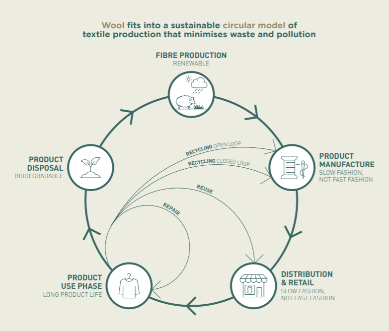 CollinsvilleAUS's tweet photo. Fantastic article about how wool is holding its ground against synthetics as the textile industry faces large pressures to become more ‘circular’.
Read more in Beyond the Bale Mar 2021 edition: https://t.co/fIRFOEAHst #CollinsvilleStudMerinos #ProfitableSheep @woolinnovation https://t.co/8GHdgWVt9v