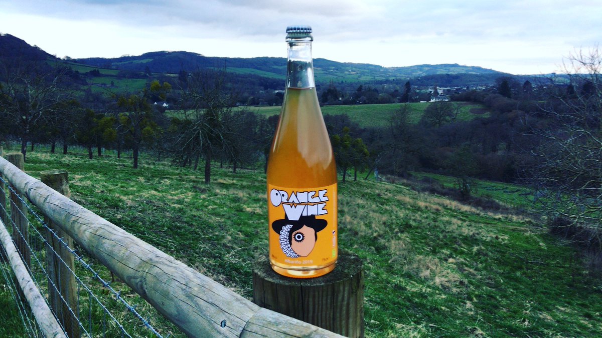 Ancre Hill Orange Wine - made for the sunshine😉🏴󠁧󠁢󠁷󠁬󠁳󠁿