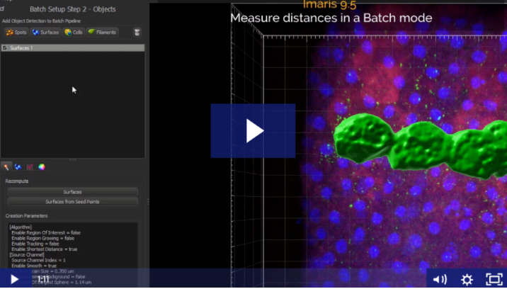 ImarisSoftware's tweet photo. Use Imaris Batch to calculate shortest distance between objects within multiple datasets - watch our NEW video tutorial >> https://t.co/abnAGK6f0M
#Imaris95 #ImarisLearning https://t.co/obczPpSZTa