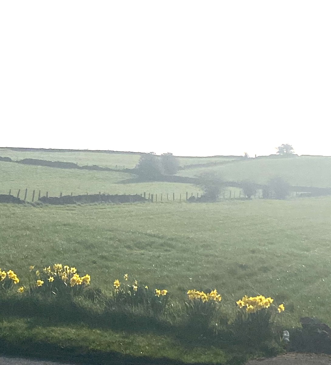 KyrstieStubbs's tweet photo. #MarchMovers didn’t feel great this morning but thought a morning run would either kill or cure me! Not sure which yet but knocked a minute off my short 3k run x https://t.co/x5eOhxd8LL