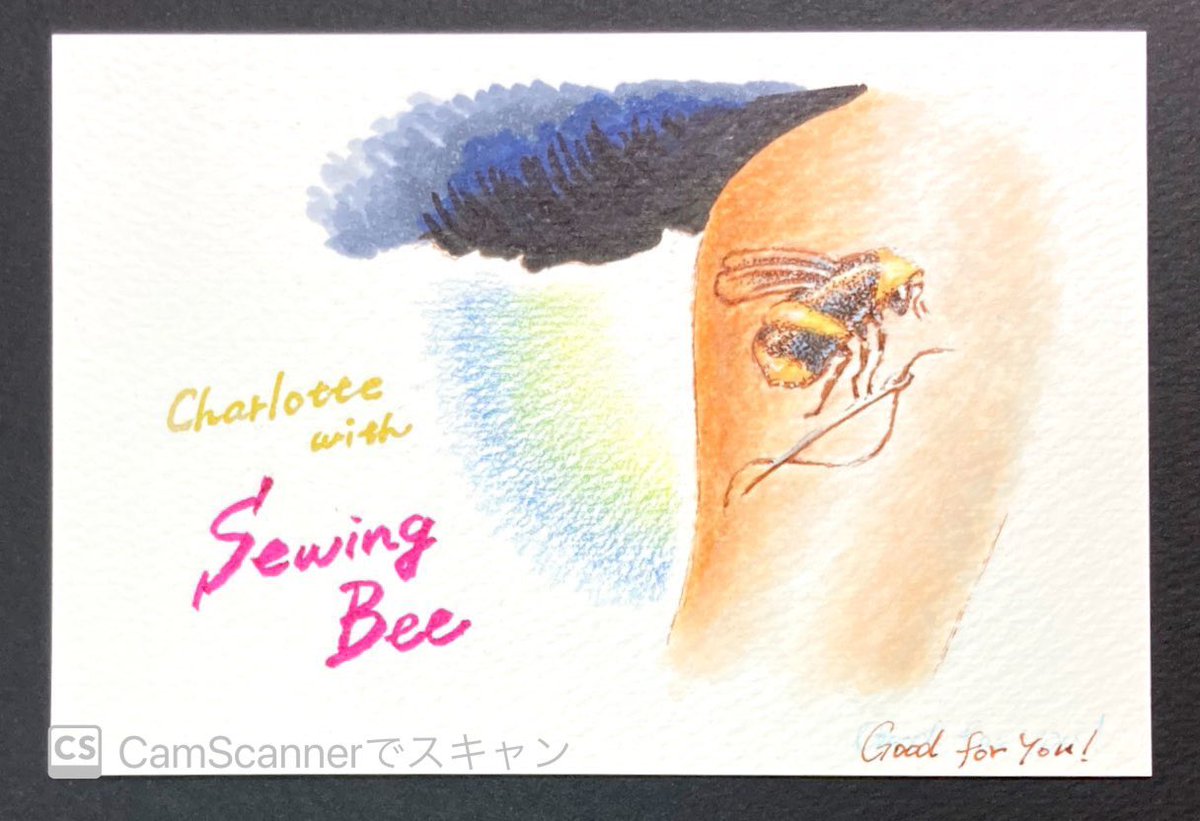 わんだみ Congratulations ソーイング ビー2 ソーイングビー