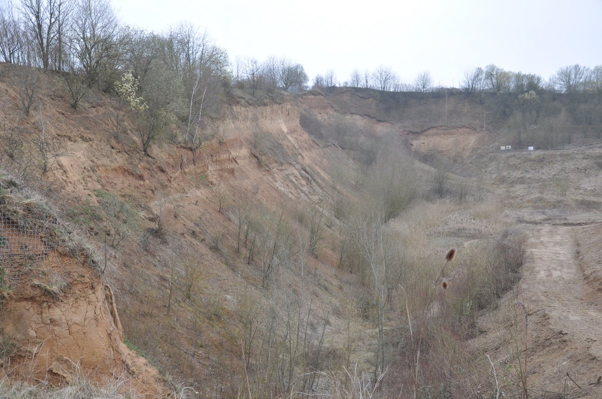 SFB806_CRC806's tweet photo. #ToThisDay 6 years ago the #CRC_D1 Team sampled the loess sequence at #Frankenbach (Germany). Do you see the three #paleosols in the photo that all indicate different #paleoenvironmental conditions? #TeamLoess. Check out https://t.co/VjBHdgS6me https://t.co/OXg2ipbIbU