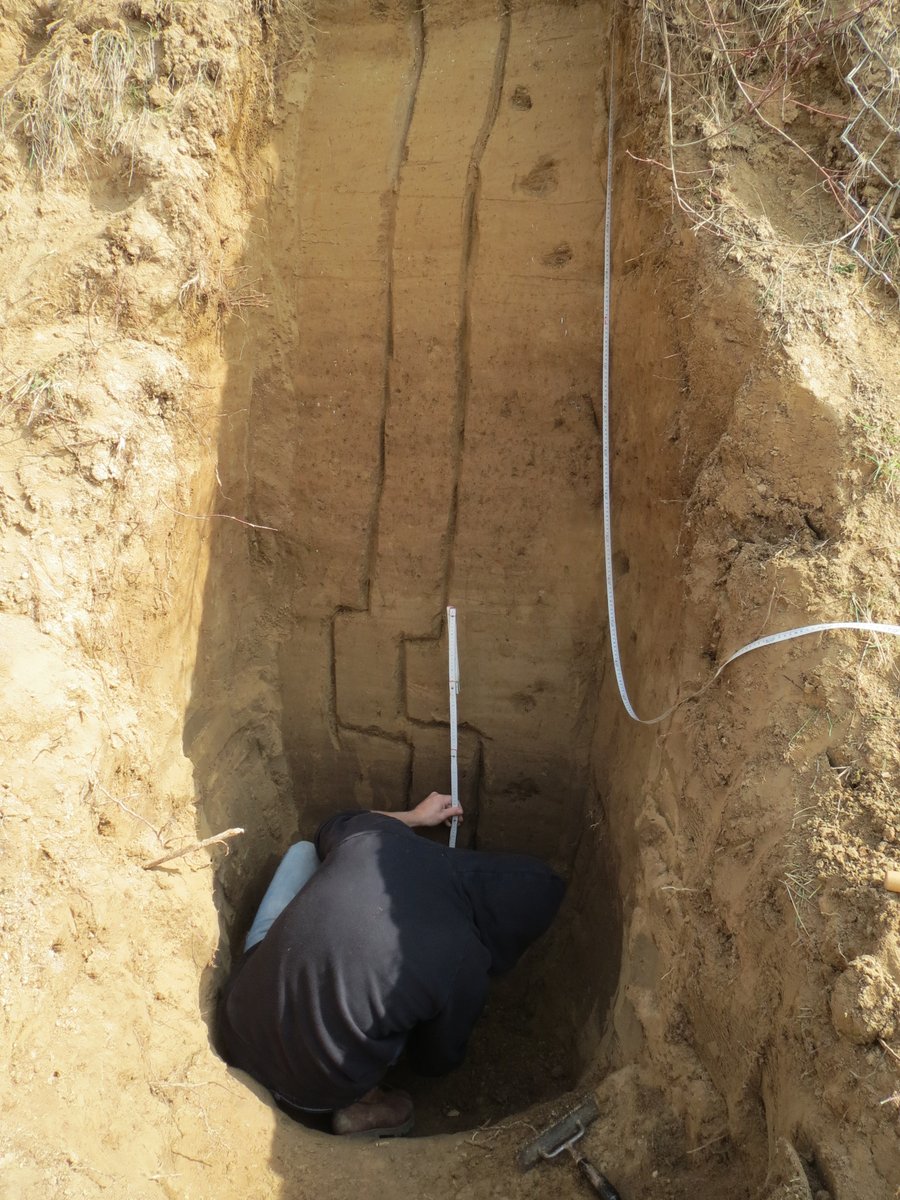 SFB806_CRC806's tweet photo. #ToThisDay 6 years ago the #CRC_D1 Team sampled the loess sequence at #Frankenbach (Germany). Do you see the three #paleosols in the photo that all indicate different #paleoenvironmental conditions? #TeamLoess. Check out https://t.co/VjBHdgS6me https://t.co/OXg2ipbIbU