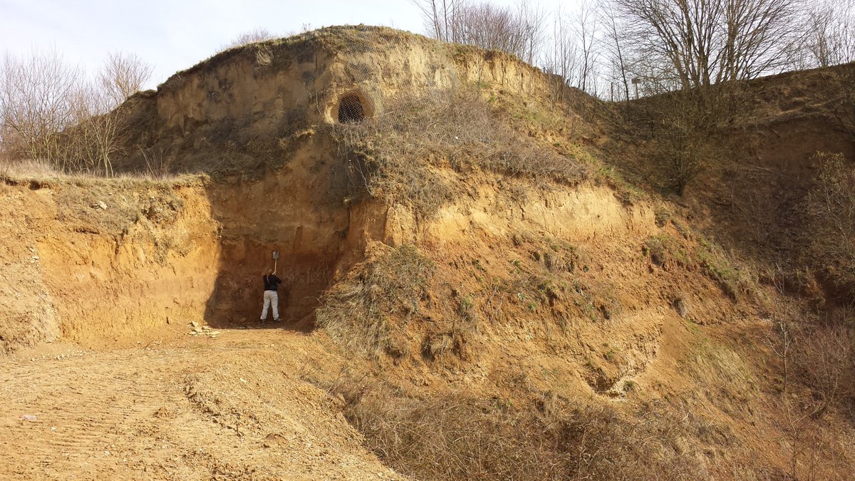 SFB806_CRC806's tweet photo. #ToThisDay 6 years ago the #CRC_D1 Team sampled the loess sequence at #Frankenbach (Germany). Do you see the three #paleosols in the photo that all indicate different #paleoenvironmental conditions? #TeamLoess. Check out https://t.co/VjBHdgS6me https://t.co/OXg2ipbIbU
