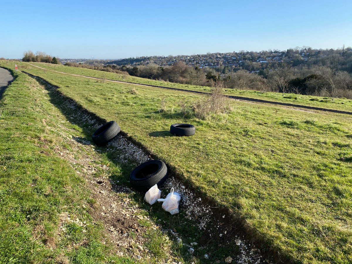 CityCommons's tweet photo. One fine morning, one skylark singing overhead and one frustrated Ranger 😔 

All cleared now and back to enjoying the weather! 

#FarthingDowns #SouthLondonDownsNNR #TreesNotTrash https://t.co/yLPNFQ1Qto