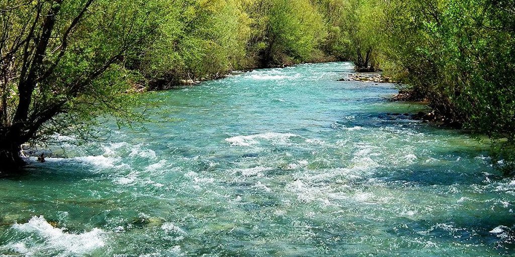 berytech's tweet photo. #NewPartnership: Berytech has joined the Clean River Hub Network as a knowledge partner in this global initiative.
Read more about this initiative here: https://t.co/uYswB6YrYv
#CleanergyProgram #water #sustainability #riverecosystem https://t.co/s1Kbe6e7VG