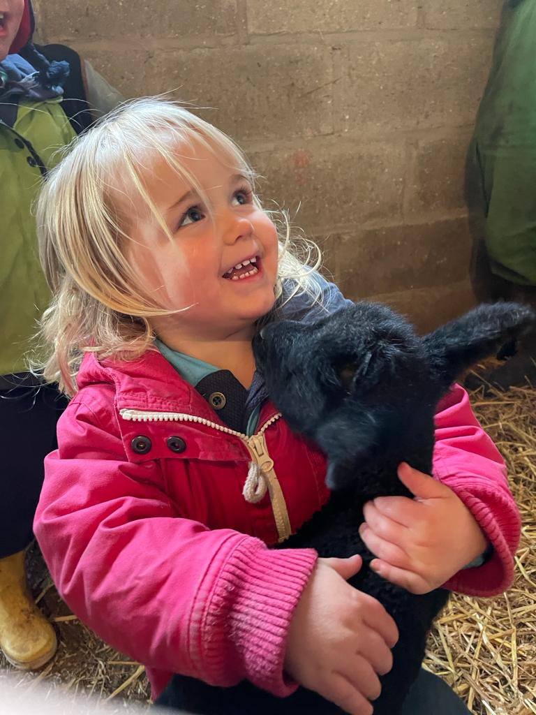 Tom Bradshaw tweet media