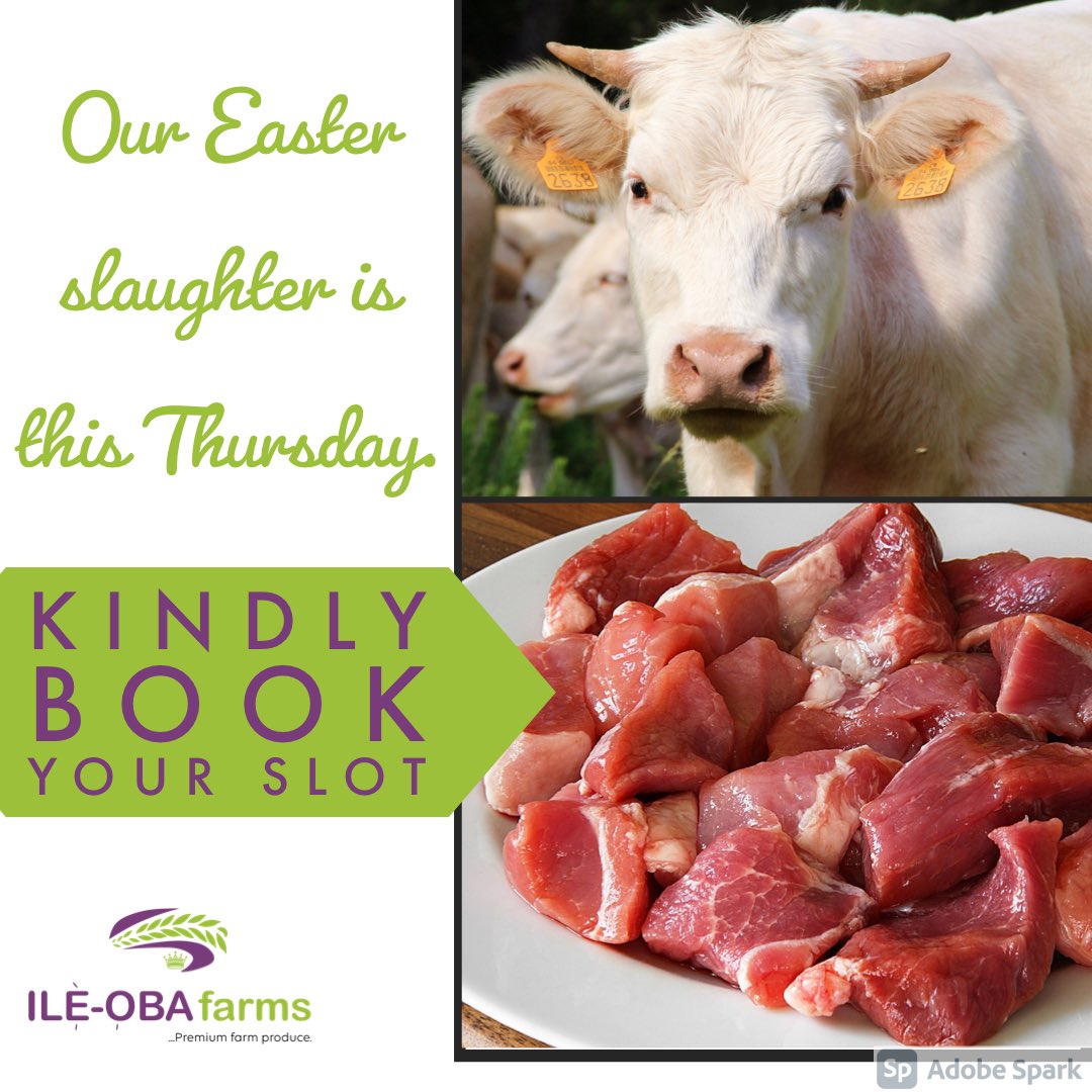 ileobafarms's tweet photo. Your hygienically slaughtered beef of us.

Kindly help retweet 💚 https://t.co/QaQhBYQ1Tl