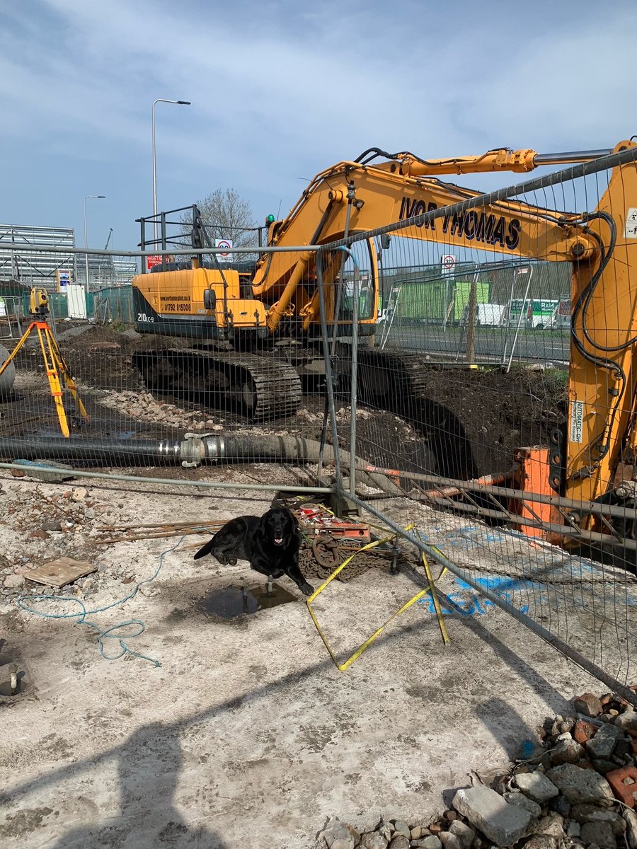 Onyx the dog is assessing Holding Down bolts and monitoring deep #drainage.