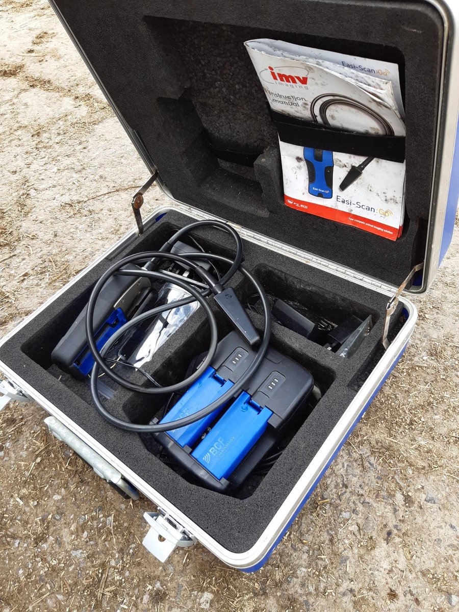SynergyFarmVets's tweet photo. A busy scanning session up on Salisbury plain! Don't forget to get your Autumn calvers checked now, this allows you to make decisions whilst prices are strong. #backbritishfarming #autumncalvers #salisbury https://t.co/L91cCfv7m9