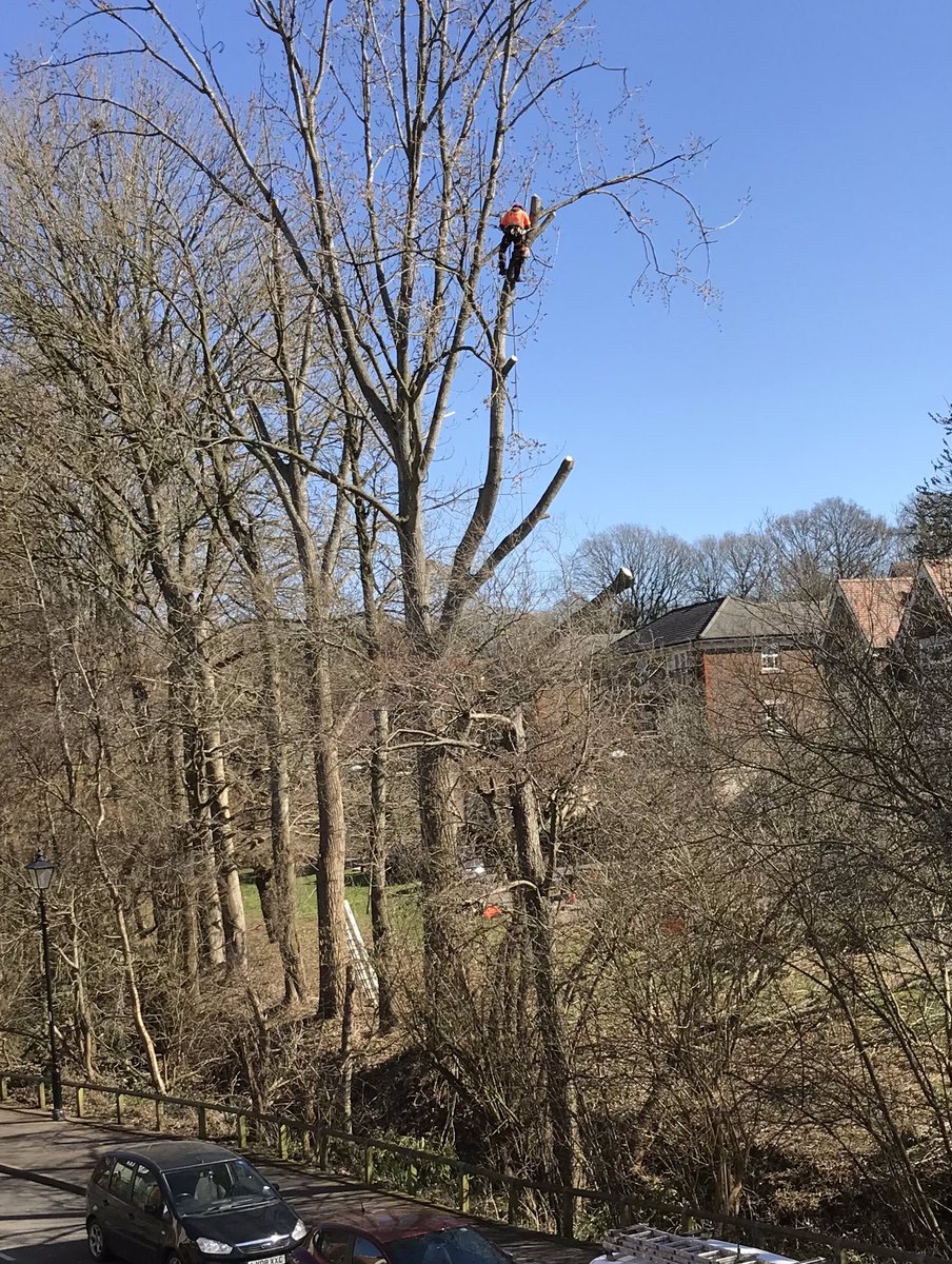 David Rees tweet media