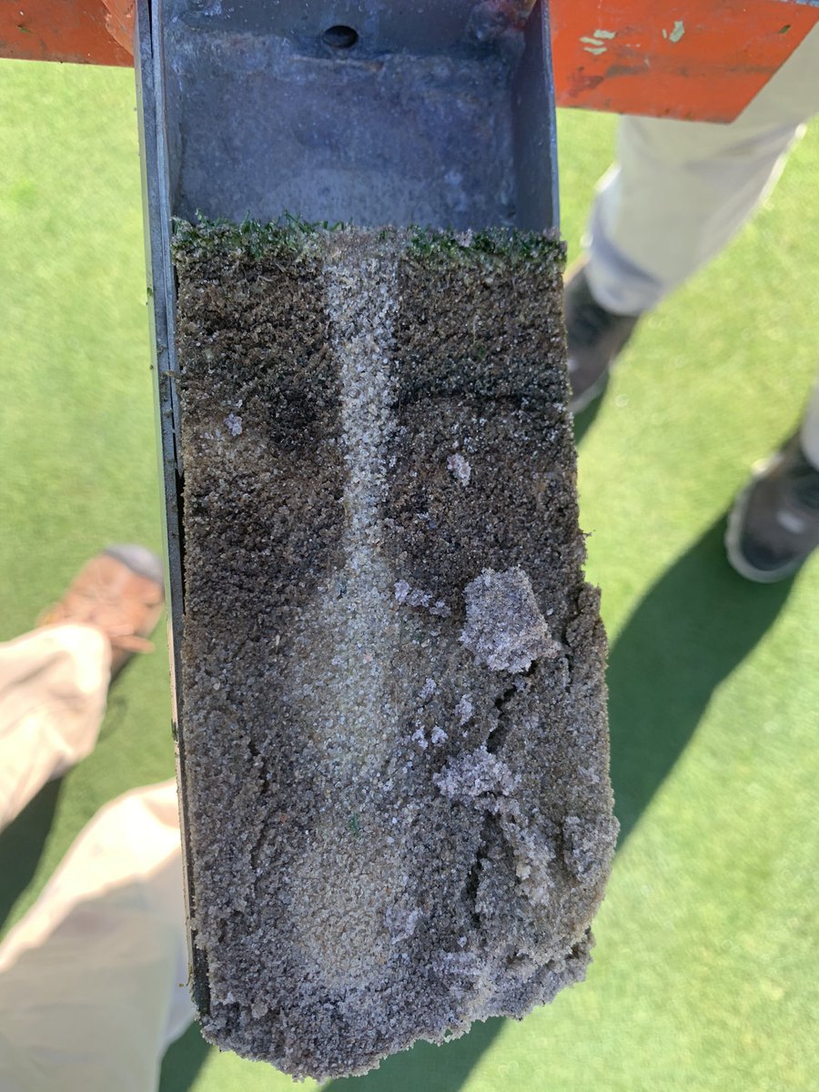 LCC Grounds Department tweet media