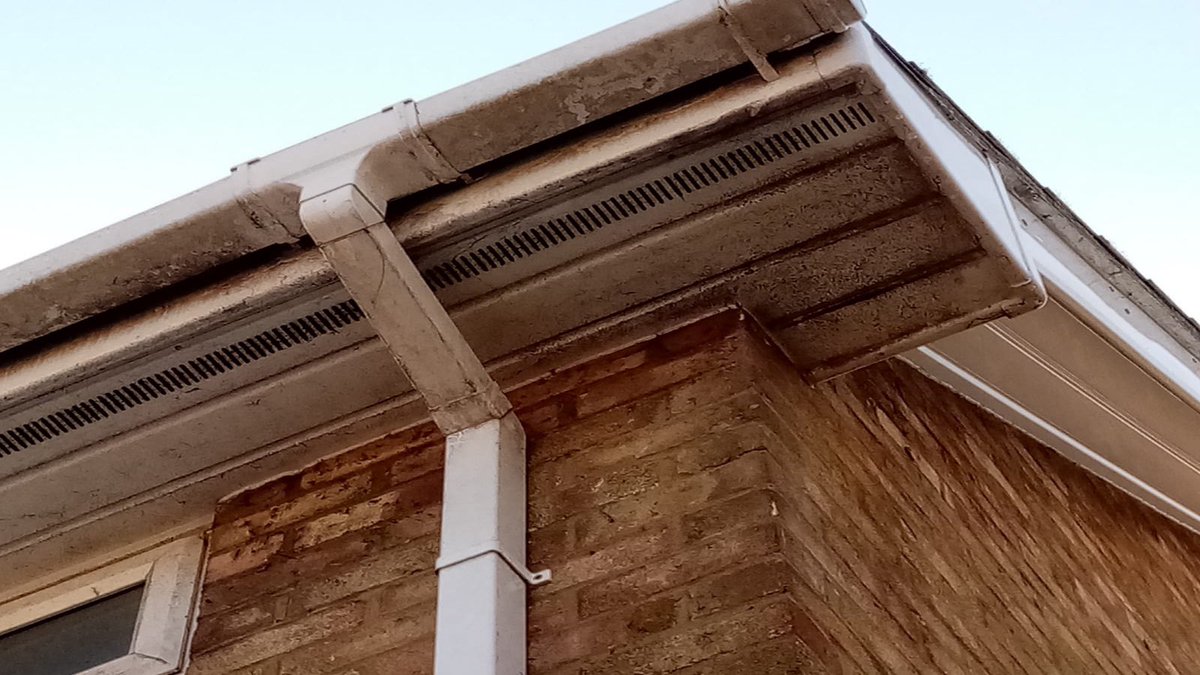 KentWindowClean's tweet image. Great Facias and Soffit cleaning done by Chris today in #Ramsgate ✨

Is it your turn to get your Facias and Soffit cleaned? 
We’d love to hear from you!

📞01843 598666
info@windowcleanercanterbury.co.uk