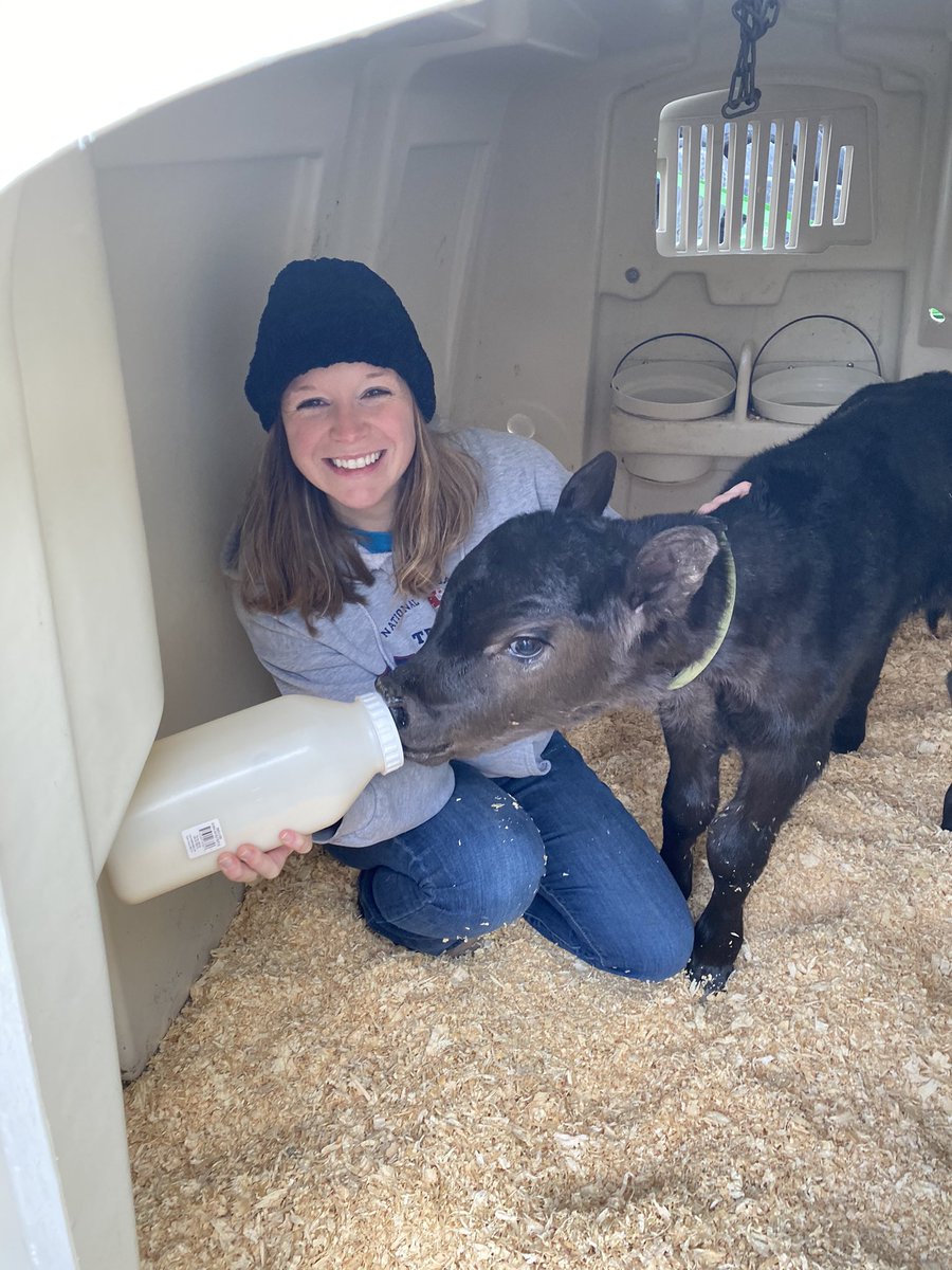 EngelhardFarms's tweet photo. I told Amy we could get some egg layers for a good project for the kids.   Does anyone know how long before this guy starts laying eggs?  Asking for a friend https://t.co/tHOh7iTfC3