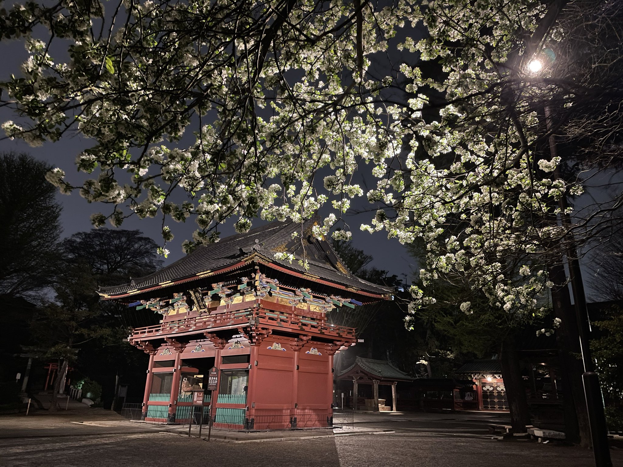 Kur Ra A Twitter 今日の夜神社活動 Iphone変えて写真がきれいになりました T Co Cud9ulhsy1 Twitter
