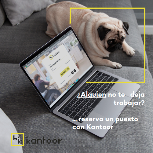 KantoorCl's tweet photo. De acuerdo a una encuesta de la Cámara de Comercio de Santiago, el 51% de los trabajadores se inclina por mantener una modalidad de trabajo híbrida (teletrabajo y presencial). @KantoorCl te ayuda a gestionar tu lugar de trabajo.
#startup #HybridWorking #WorkplaceManagement https://t.co/wUyZ5qNyG6