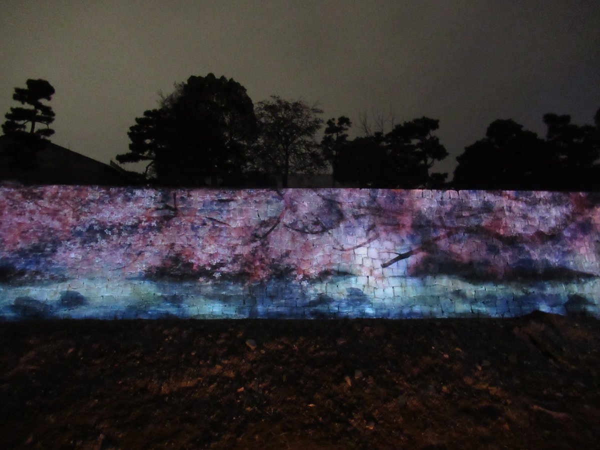 ｉｋｙｓ 21年3月30日 京都 二条城 桜ライトアップ No 5 京都 二条城