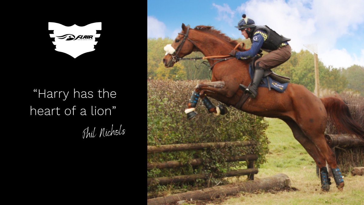 FLAIRstrips's tweet photo. Phil Nichols and Harry, members of https://t.co/JXG3ndcAyf Open Team. “Harry has the heart of a lion and never gives up. Such a pocket rocket. We never ran him but he just took to Team Chasing. I have lost count of how many he has won for me now.” 
#teamtuesday #teamchasing https://t.co/rbVvNr9lYt