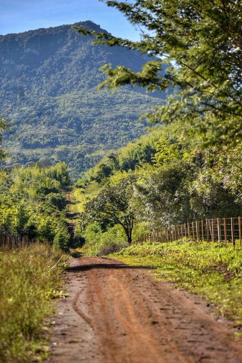iamlight887's tweet photo. Caminante, son tus huellas el camino y nada más; caminante, no hay camino, se hace camino al andar...🇵🇾📸 https://t.co/X20t8bCwyD