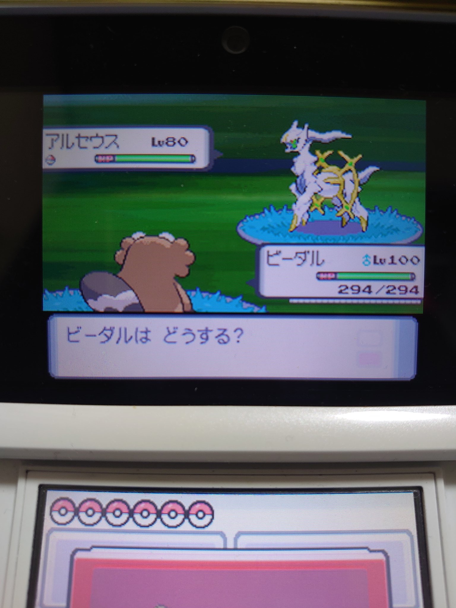 ごいち ポケットモンスターダイヤモンドにてコトブキシティバグ検証 結果アルセウスに出会えました T Co Unuhjoxte8 Twitter