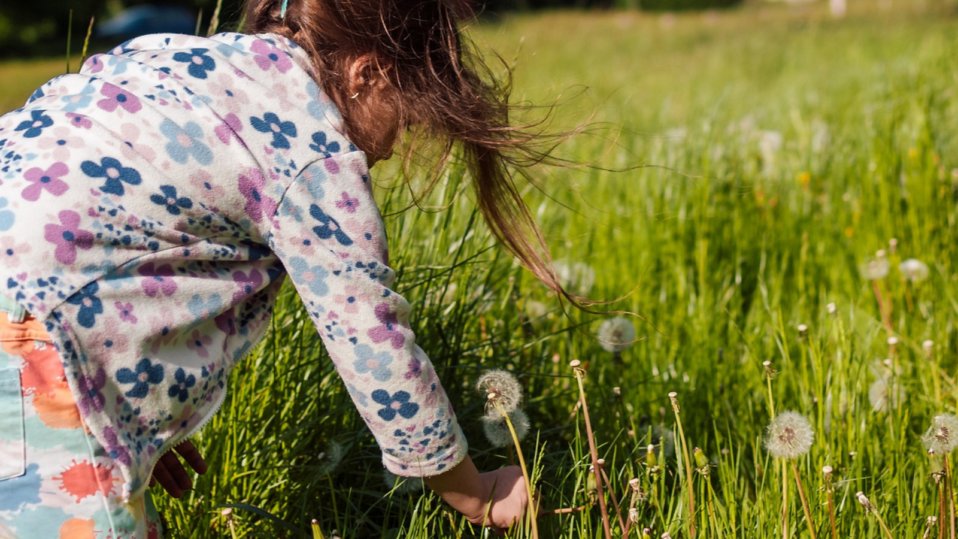 GilbertWhites's tweet photo. We are open all day today! 🐦
Explore the gardens and try out our Garden Bird Egg Hunt! 
Buy your tickets online here: https://t.co/PVFVzBH8dx https://t.co/wJjtTc8nYp