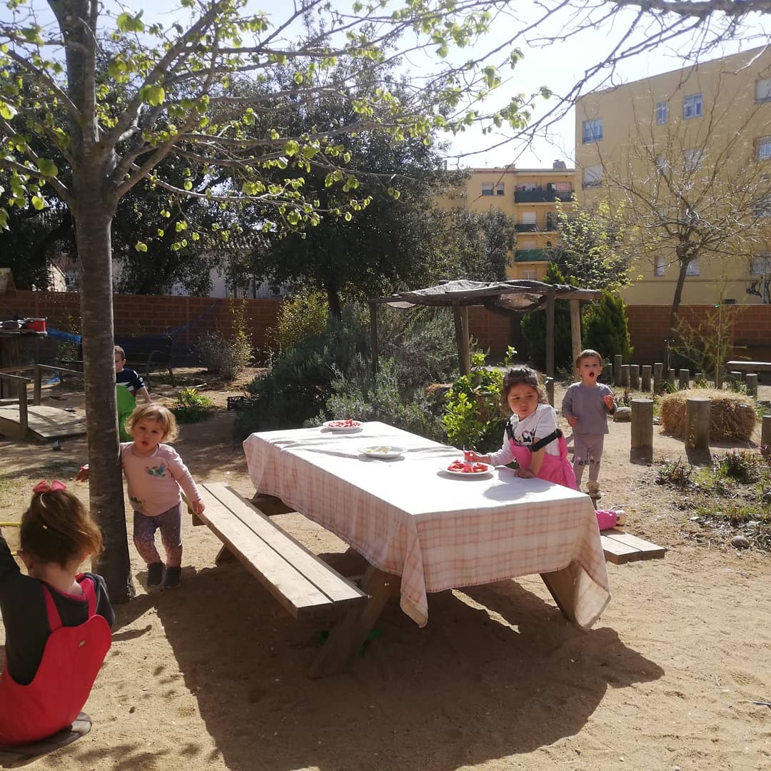 EBMBelluguets's tweet photo. Esmorzant i compartint joc. Avui protagonitza la taula un plat de maduixes #Vermells #AmbCalma #DeBonMatí #AFora @edupalafrugell @suaracoop https://t.co/UMqvSHDhox