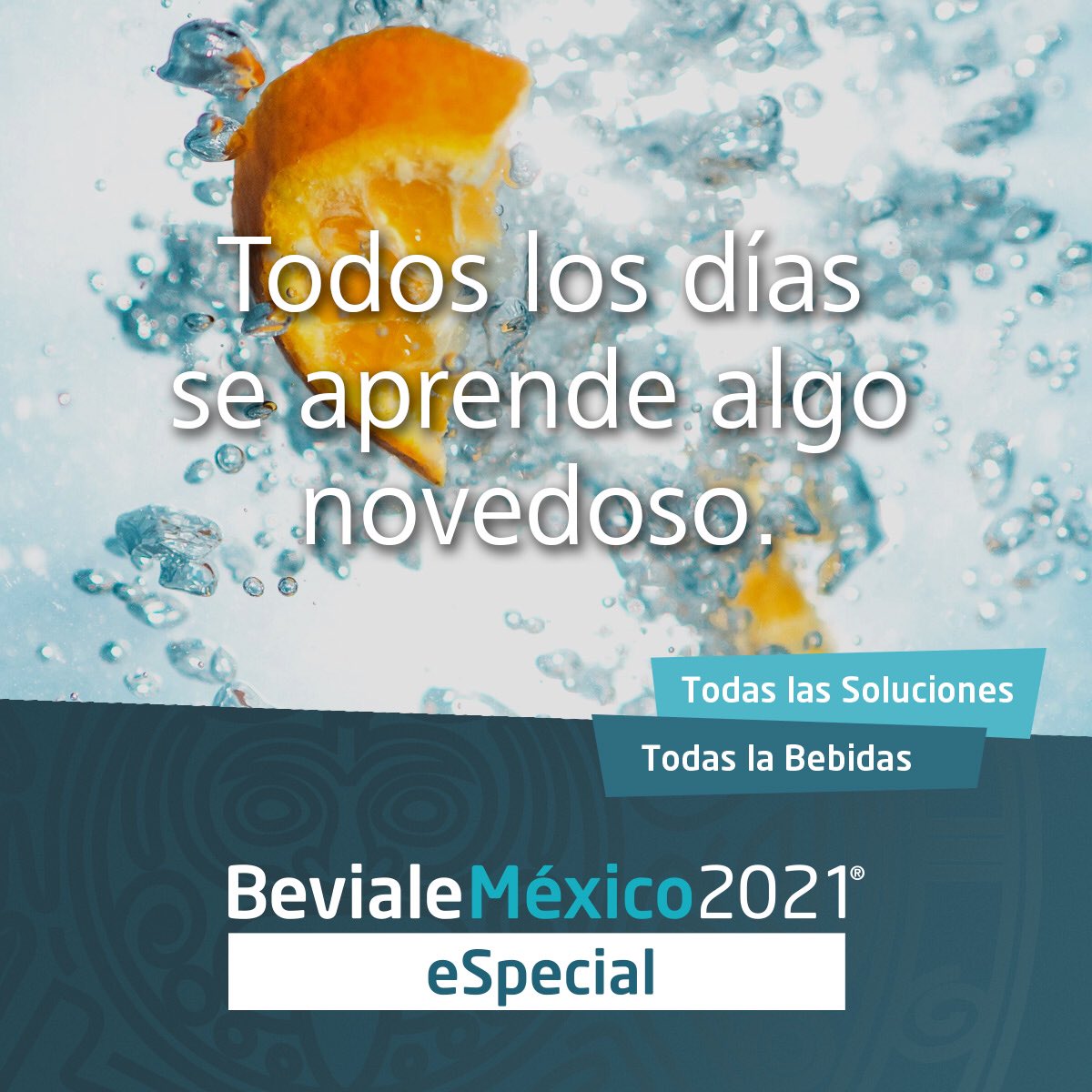 BevialeMexico's tweet photo. Beviale está abierto desde el 9 de marzo y hasta el 9 de abril, sin embargo, los 
días 16, 23 y 30 de marzo la plataforma en línea ofrecerá EN VIVO y en directo 
actividades como conferencias, presentaciones, seminarios y paneles de debate. 
https://t.co/zipw5y4cIy https://t.co/eBlVLZqqeq