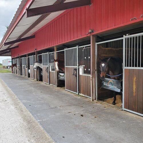 FloridaTrac's tweet photo. As a non-profit organization, acquiring donations is as important as food and shelter. So, please click the link to help if you can: https://t.co/m1HVDQJIPJ. #nonprofit #indiantownfl #helpahorse #adoptahorse #donate #thankyou https://t.co/HWOxGfCzt7