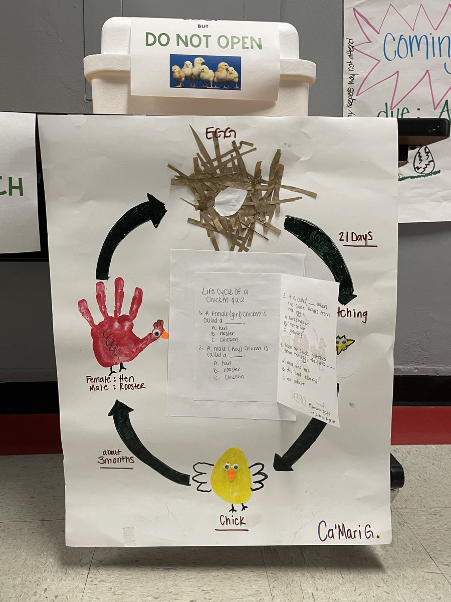 Exciting news hatching soon <a href="/Dunbar_Magnet/">Dunbar Elem Magnet</a> #ONLYatDunbar