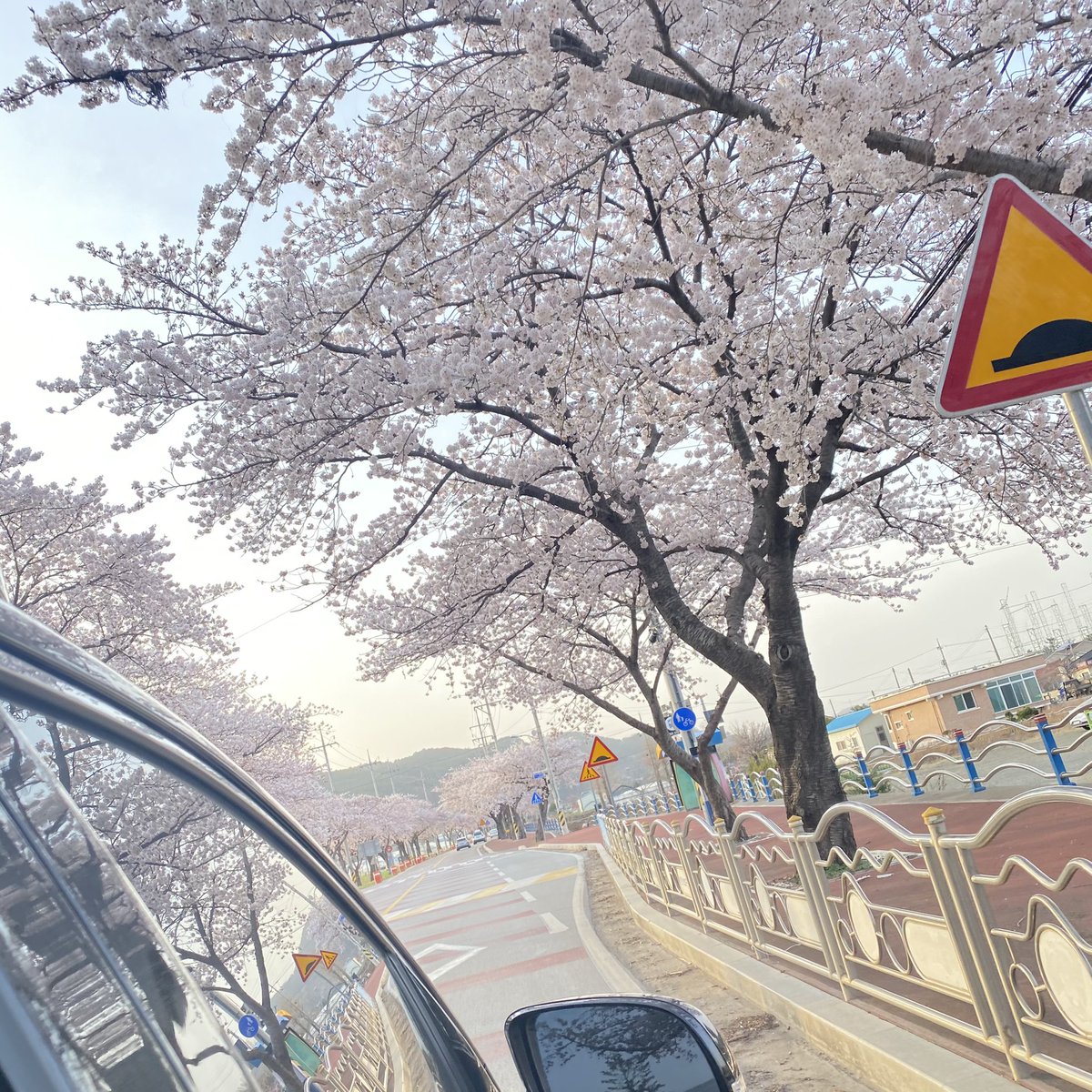 1ee_Jun_Yxxng's tweet photo. 차 안에서 어린 아이 처럼 신나서
찍은 사진.
땡큐 삼척. 안녕 ~ ☺️ https://t.co/tTkOIbCNxp