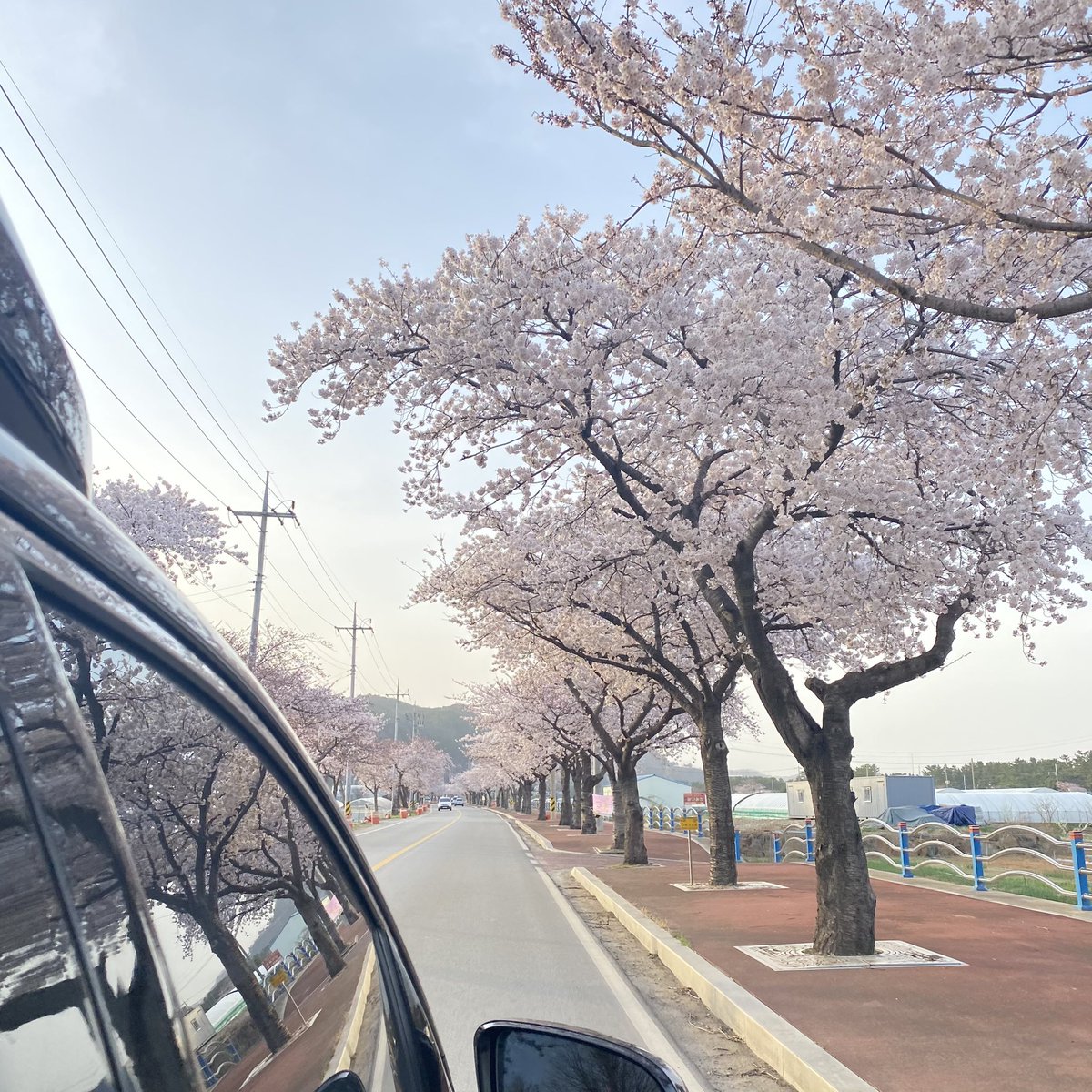 1ee_Jun_Yxxng's tweet photo. 차 안에서 어린 아이 처럼 신나서
찍은 사진.
땡큐 삼척. 안녕 ~ ☺️ https://t.co/tTkOIbCNxp