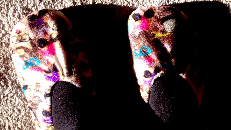 waltonwords's tweet photo. When you’ve been working from home for over a year, shoes are strangers, old slippers are dear friends. #Tuesday #PositiveVibes #grateful #WorkFromHome #StayHomeStaySafe #HomeOffice #comfyshoes https://t.co/d369d9cwyZ