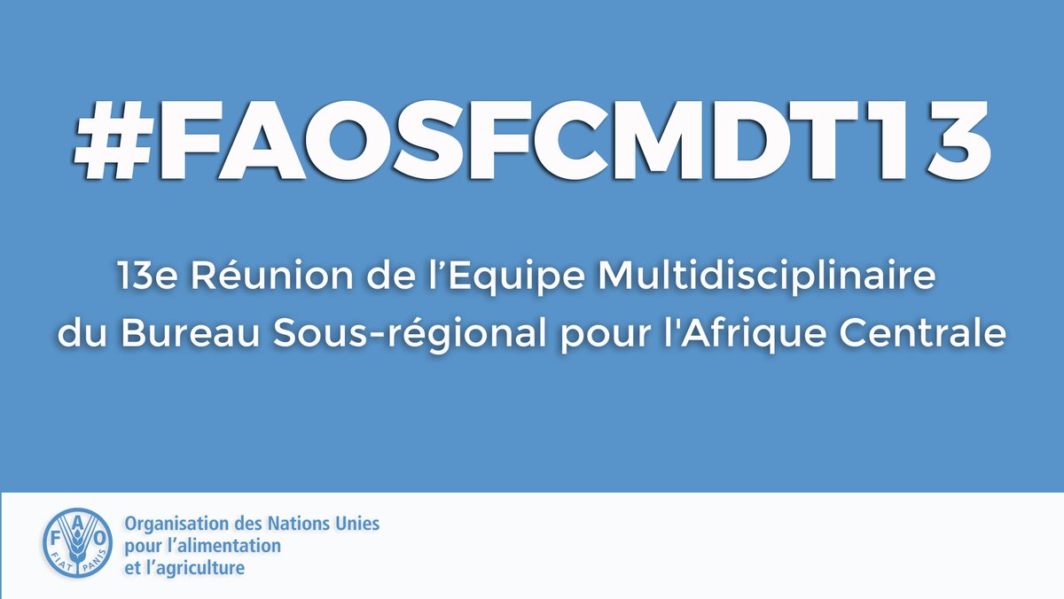 Merci à S.E.M <a href="/biendimaganga/">Biendi Maganga-Moussavou</a>,Ministre en charge de l'Agriculture du #Gabon pour avoir rehaussé de sa présence au #FAOSFCMDT13.

Dans son discours d'ouverture, il a souligné les défis de la pêche durable et la necessité de concrétiser les programmes pour transformer l'Agriculture.