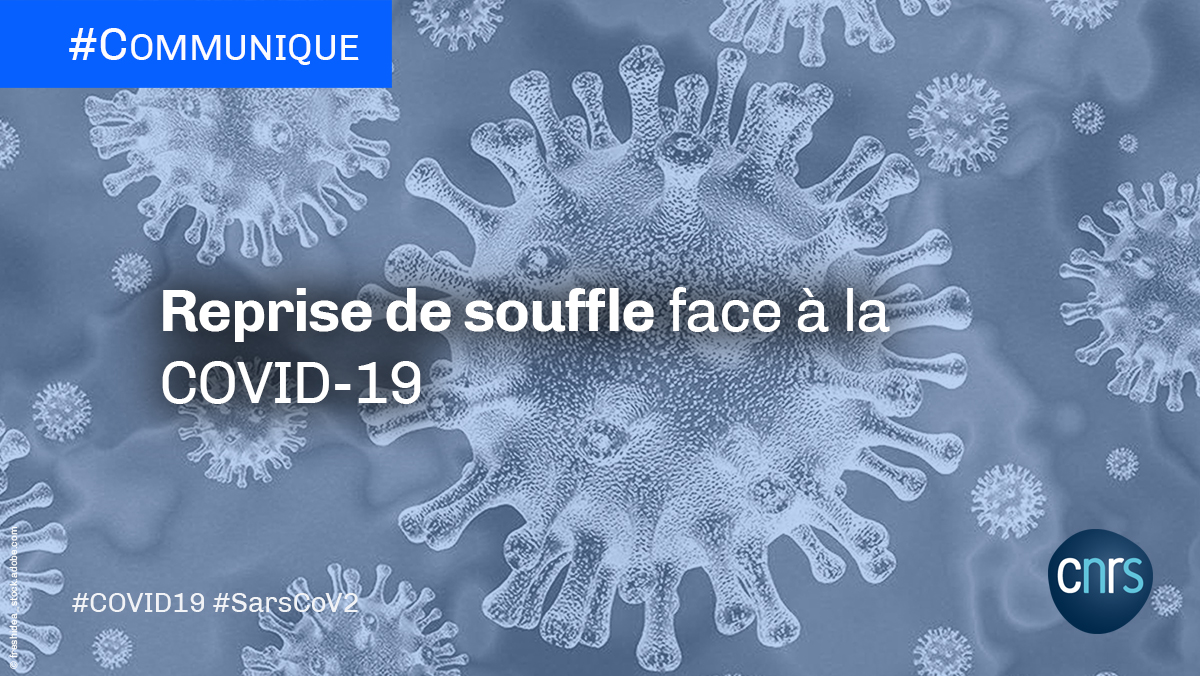 CNRS's tweet photo. #Communiqué 🗞️ | Un consortium lyonnais travaille à la validation d’une nouvelle méthode pour détecter la #COVID19 via la caractérisation des molécules présentes dans l’air expiré. 

➡️ https://t.co/lYmKsmZrgo https://t.co/vOtlQO4K3A