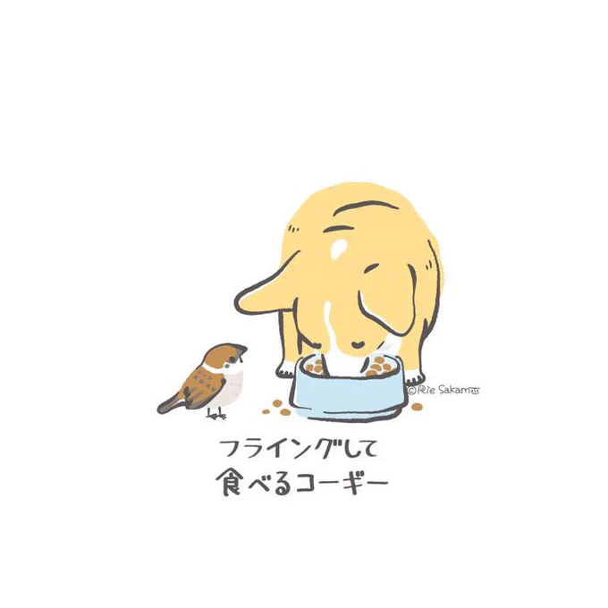 #今月描いた絵を晒そう
今月は「ごはんを待っているときのコーギーあるある」を描いてます
残りあと3回の更新なので最後まで見ていただけると嬉しいです☺️ 