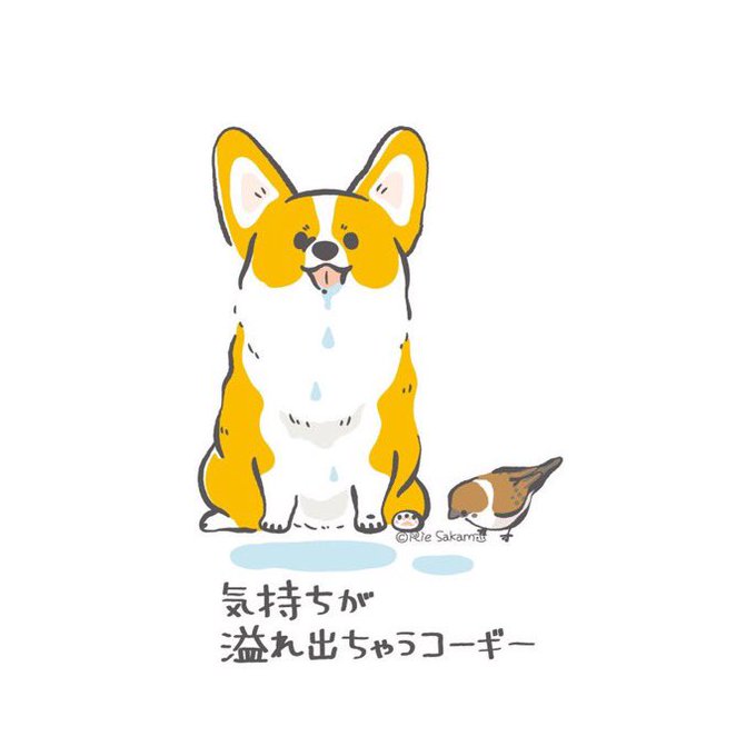 「柴犬」のTwitter画像/イラスト(新着｜RT&Fav:50)｜21ページ目